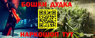 spice Кимры
