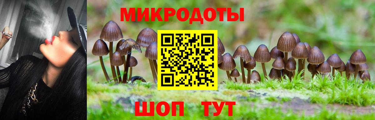 Галлюциногенные грибы прущие грибы  Вход с VPN  Армавир 